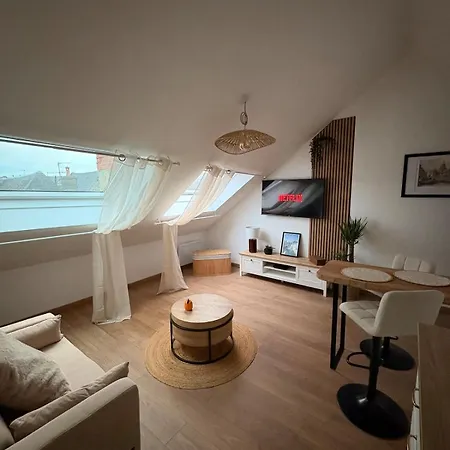 Le Nid Dhistoire Avec Vue Sur La Cathedrale Apartment *