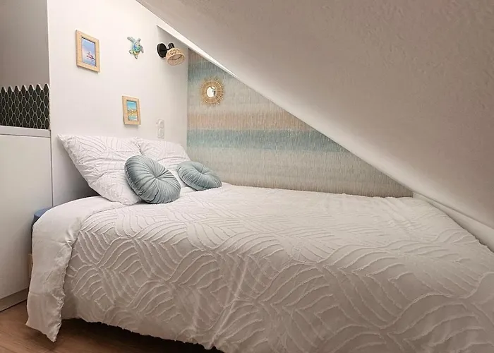 Apartament Le Nid Dhistoire Avec Vue Sur La Cathedrale *