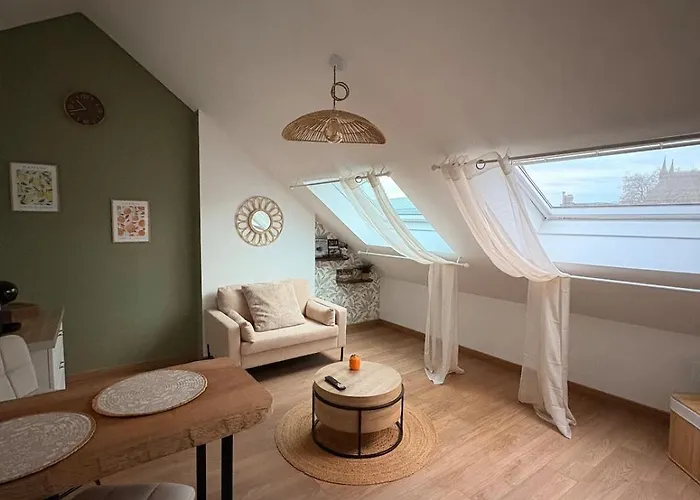 Le Nid Dhistoire Avec Vue Sur La Cathédrale Appartement